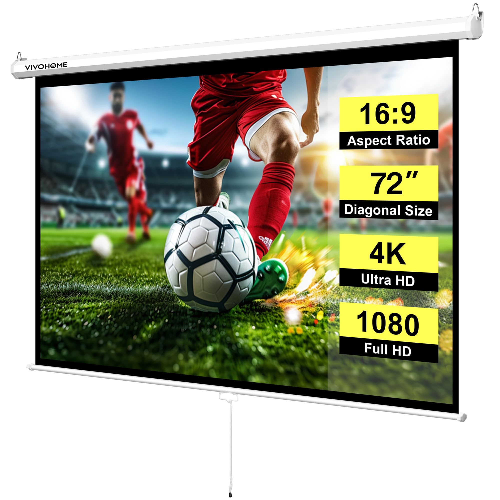 Manual Pull-Down Projector Screen for Home Theater