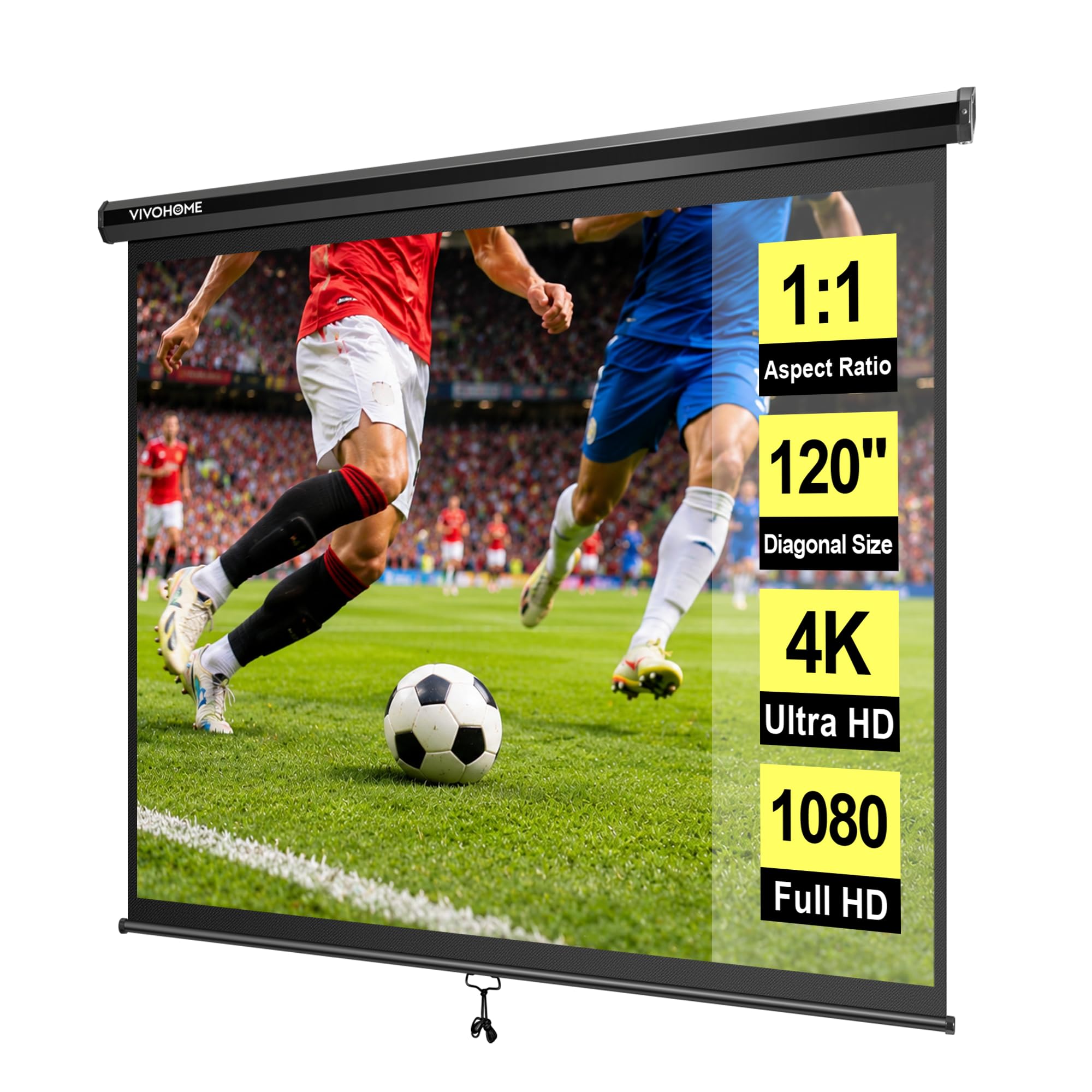 Manual Pull-Down Projector Screen for Home Theater